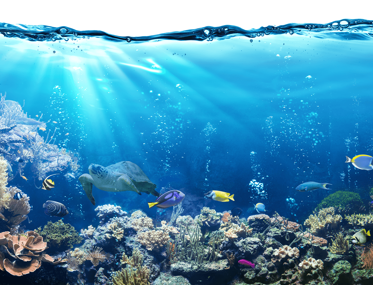 Fundo do mar